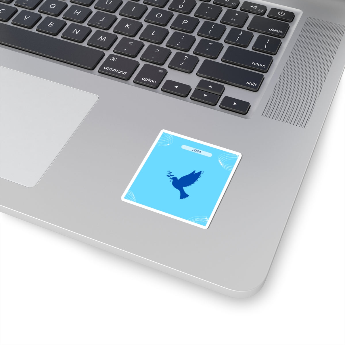 Canvas & Stickers